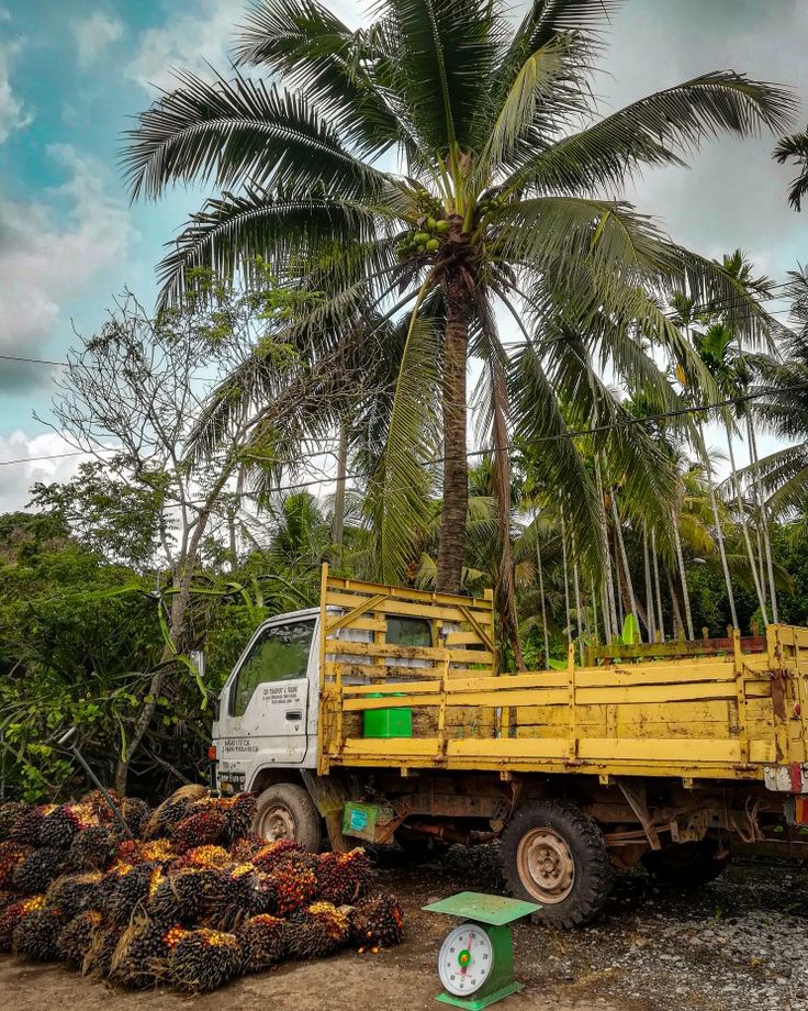 Ghana's Algriculture Transformation