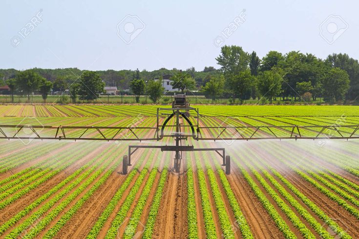 Agriculture Remains A Major Economic Driver For Malawi