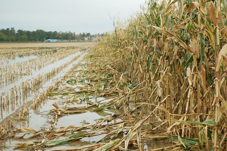 Mozambique Agriculture Climate Challenges