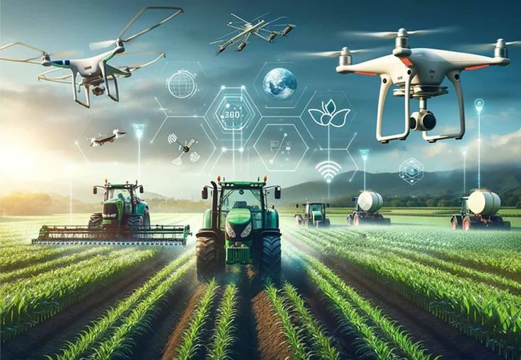 A Look at Rwanda’s Agribusiness Sector