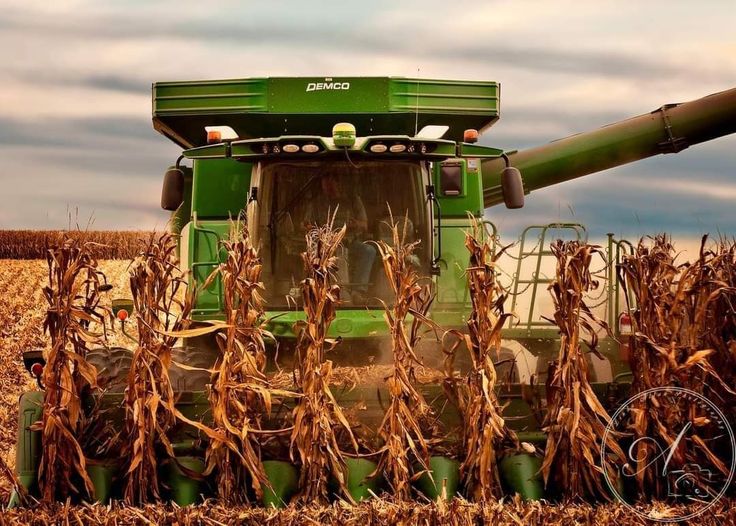ANGOLA’S FARMING SHIFT: HOW MECHANIZATION IS REDEFINING RURAL AGRICULTURE