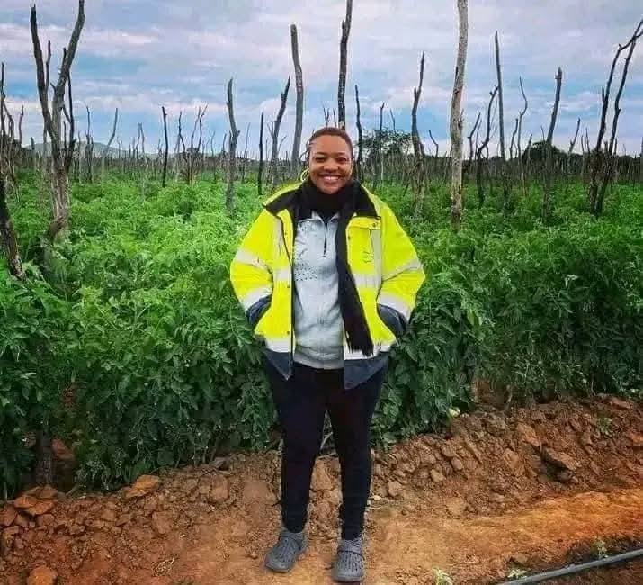 The Rise of “The Zed Farmer”