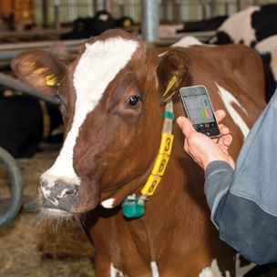 “Kenya’s livestock and farming equipment development “