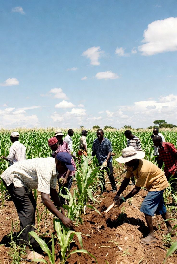 ZAMBIA'S TECHNOLOGY ADVANCEMENT IN THE AGRICULTURAL SECTOR 