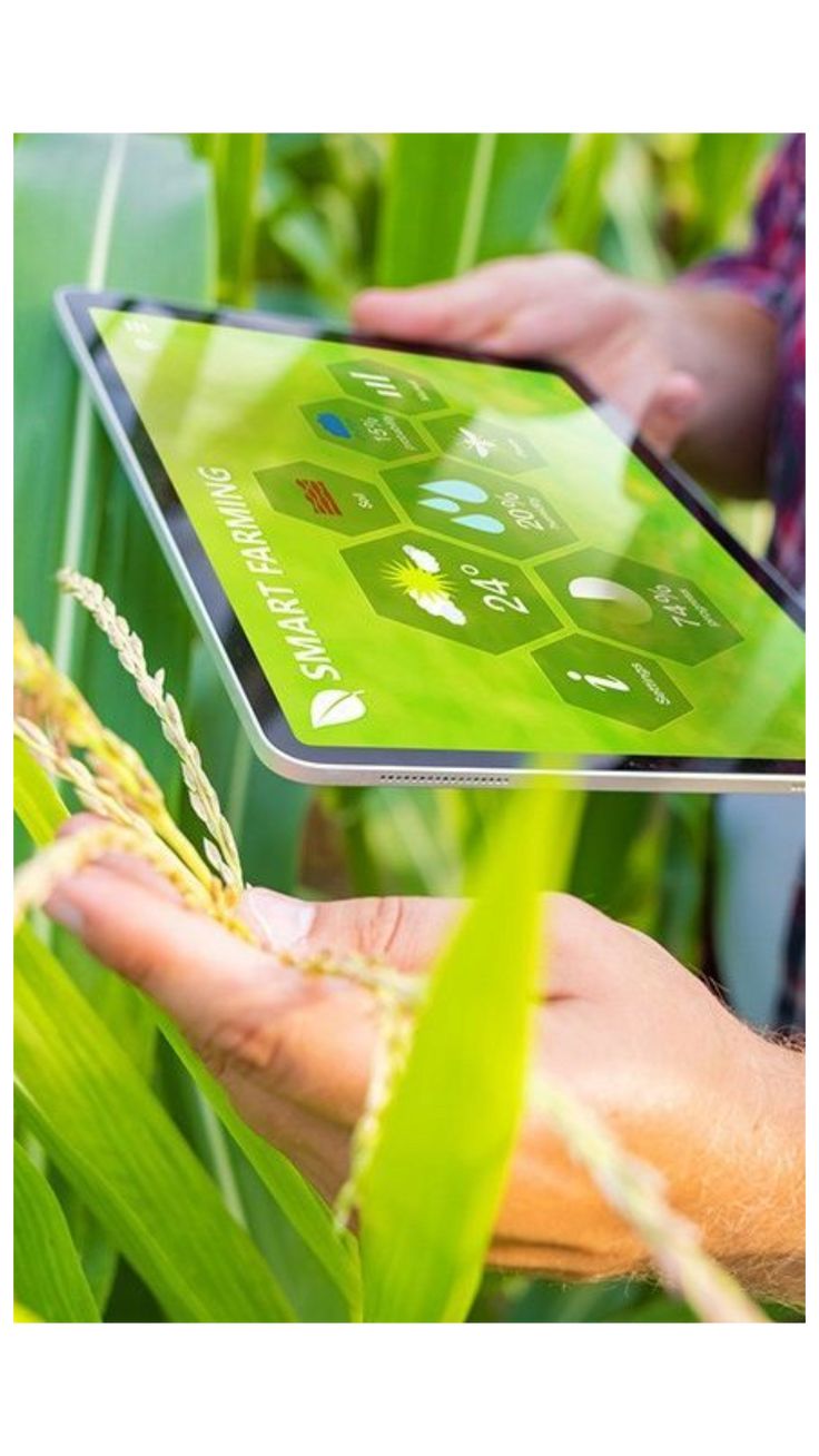 Zambia Embraces Smart Farming to Boost Food Production