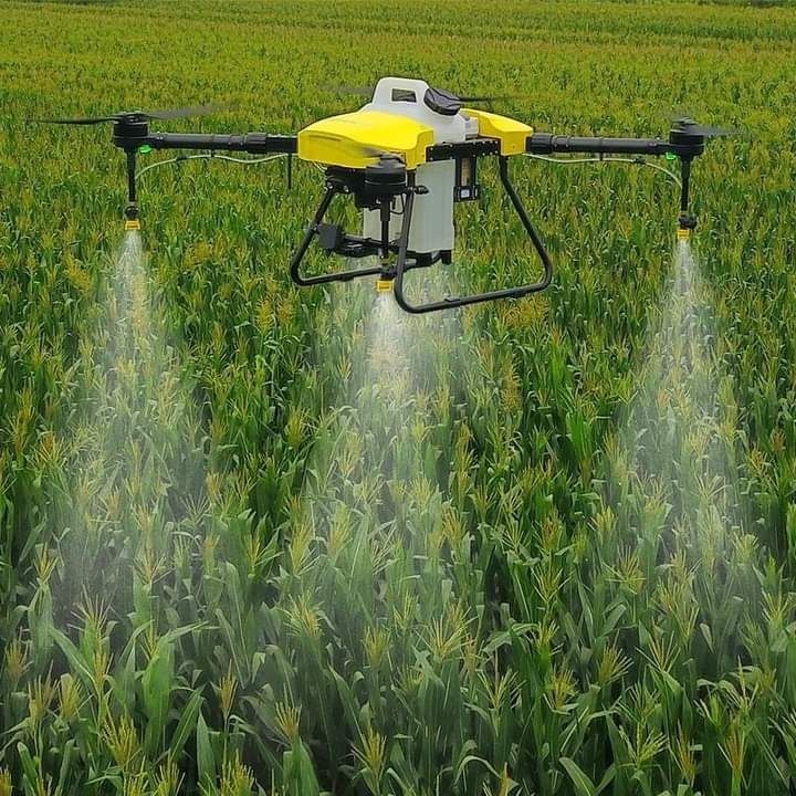 Artificial Intelligence in Agriculture: How Data-Driven Farming Is Reshaping Production Systems in Africa