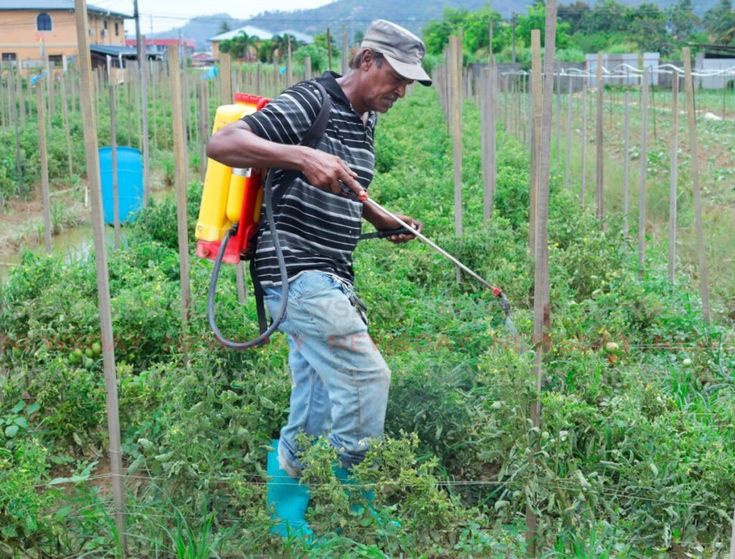 Why Farmers Are Losing Yields Before They Even Notice Pest Damage