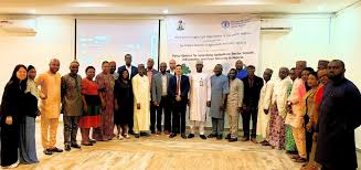Data-Driven Agriculture: How Nigeria Is Using Market Models to Transform Food Policy