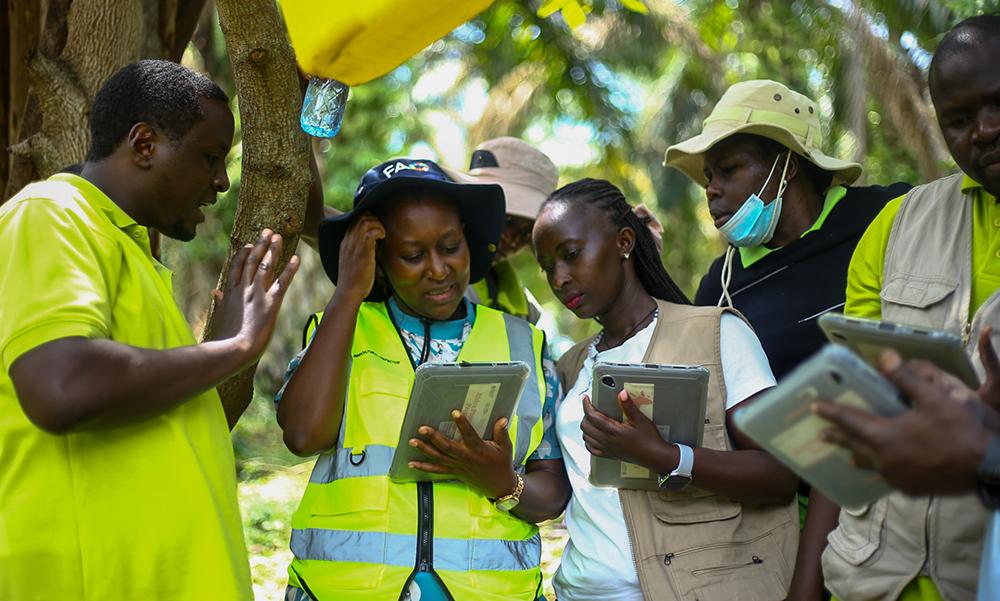 Africa Expands Digital Plant Health Programme to Protect Crops and Boost Agricultural Trade