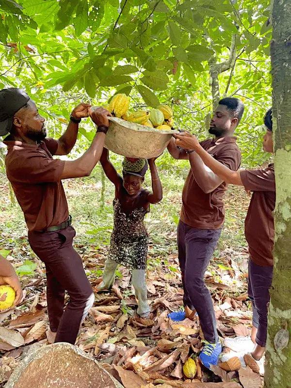 West Africa's Agribusiness Moment: Cocoa Cooperation, Fertiliser Billions, and New Export Doors