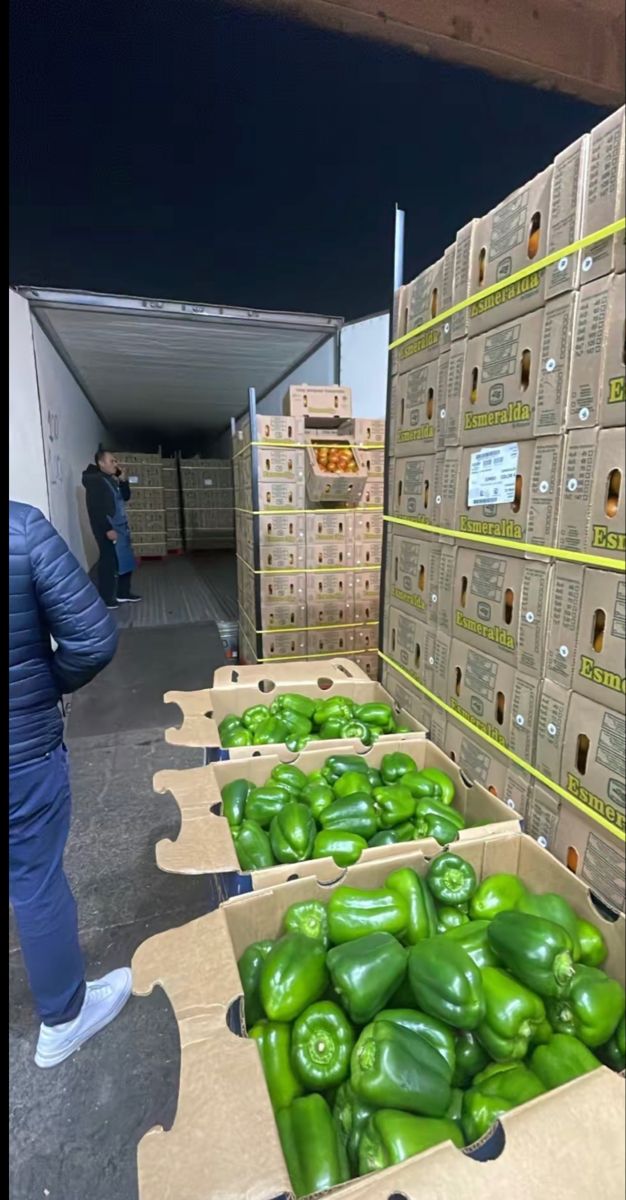 The $50 Billion Cold Chain Gap: Africa's Most Solvable Investment Problem