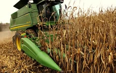 South Africa on Track for Its Largest-Ever Grain Harvest