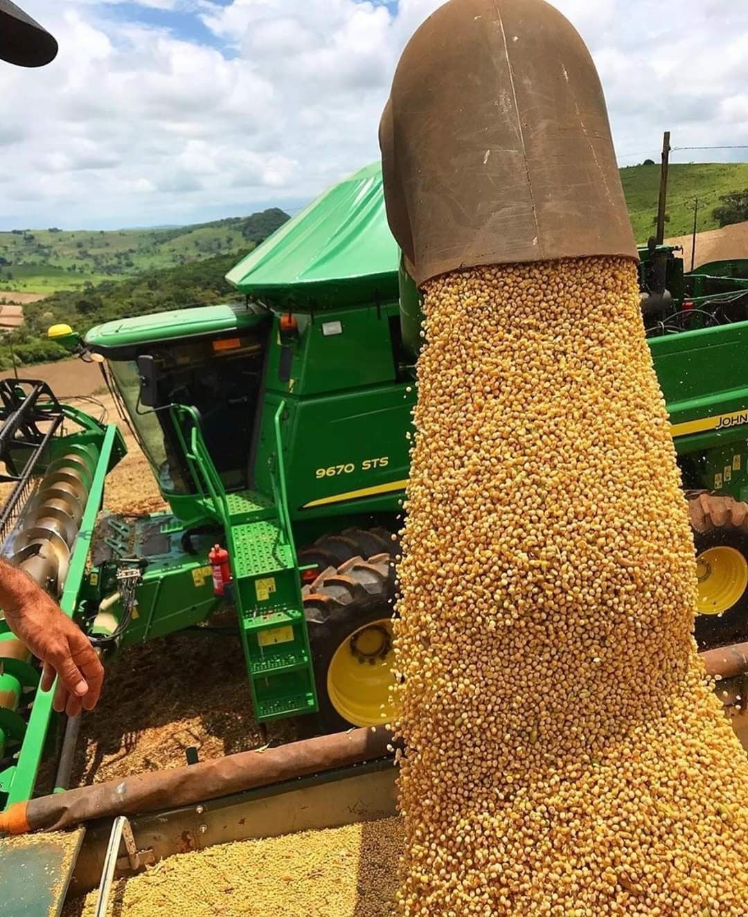 Southern Africa Is Swimming in Maize and Soybeans — So Why Isn't Everyone Cashing In?