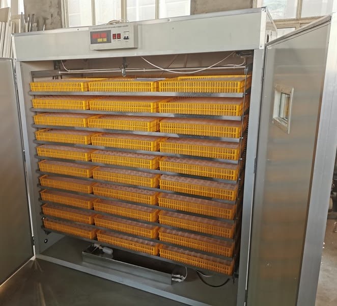 Inside the Equipment Boom Powering Africa's Poultry Expansion
